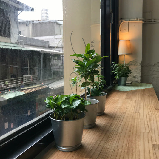 Karangan Bunga yang Mempercantik Kamar di Apartemen Bandung