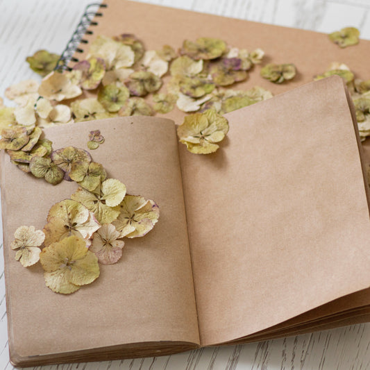 Scrapbook dengan Pressed Flower