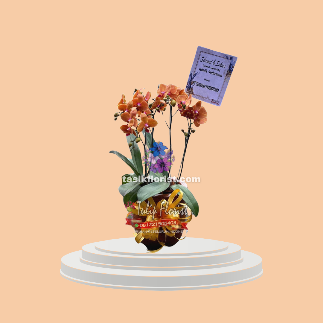 Karangan Bunga Anggrek