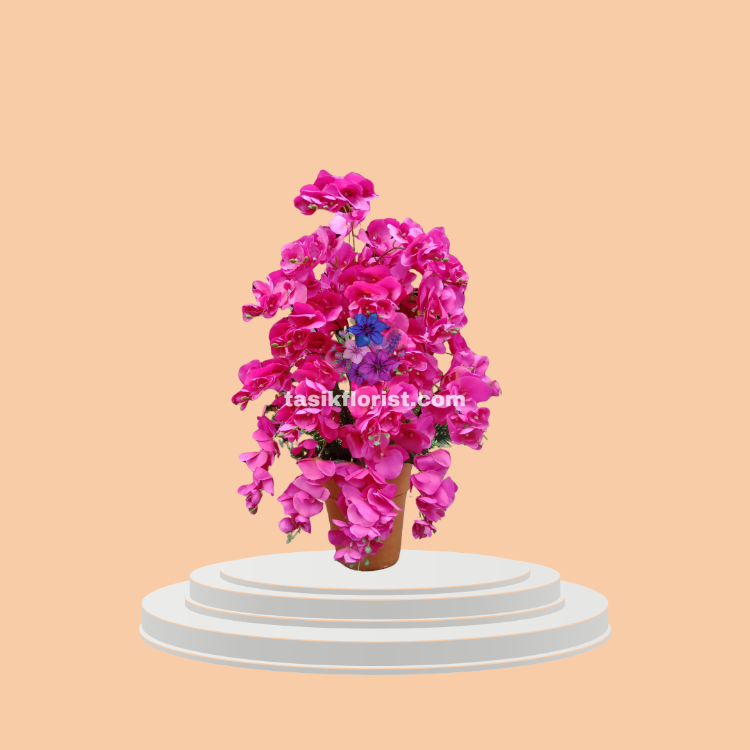 Karangan Bunga Anggrek