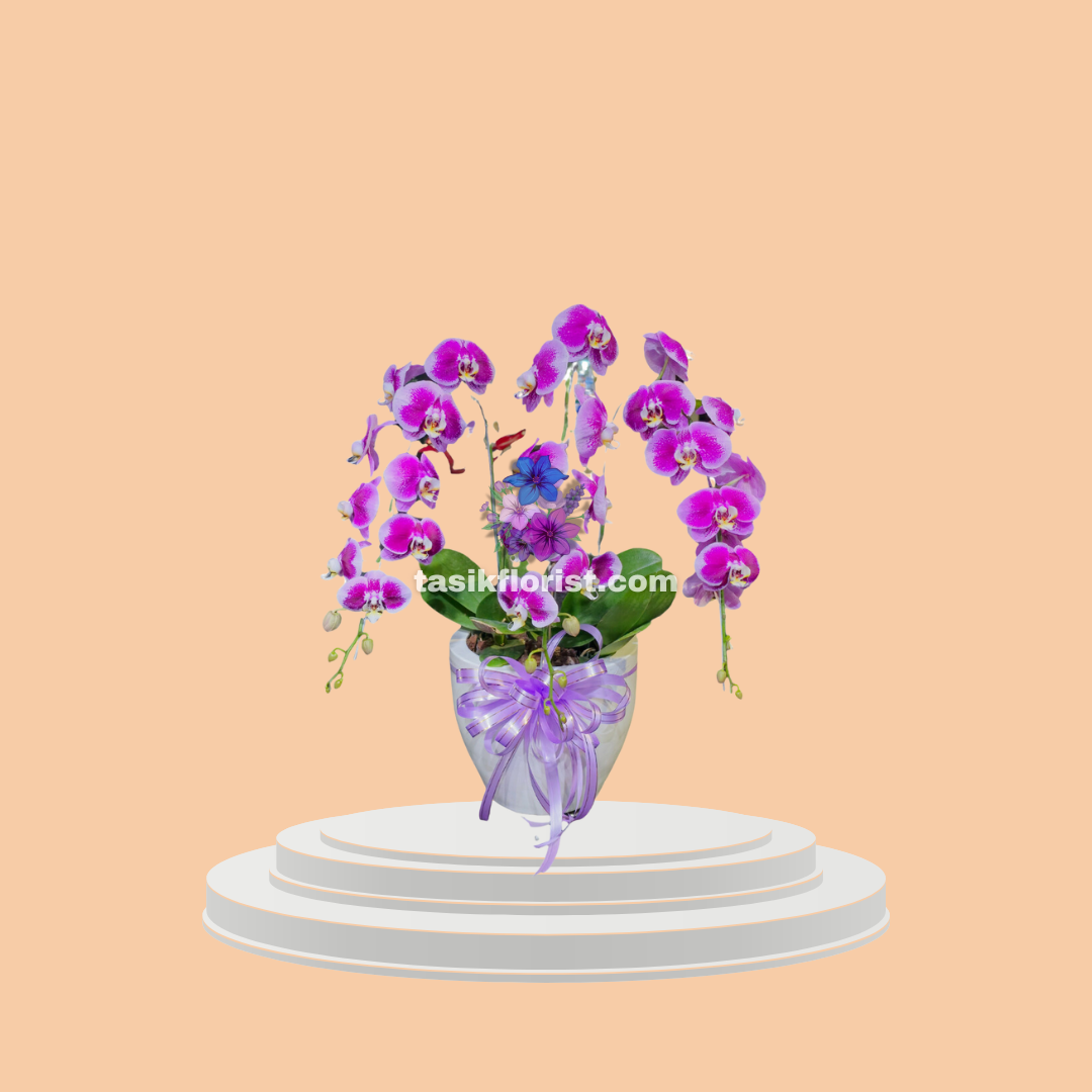 Karangan Bunga Anggrek