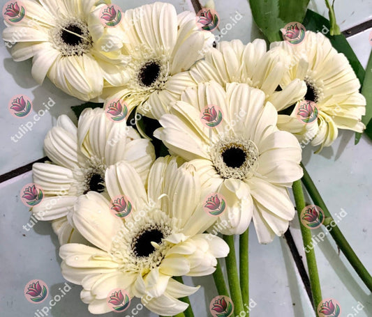 Why Choose a Local Florist in Tasikmalaya?