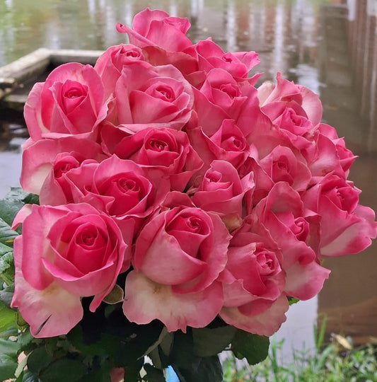 The Most Luxurious Sympathy Flower Boards in Tasikmalaya