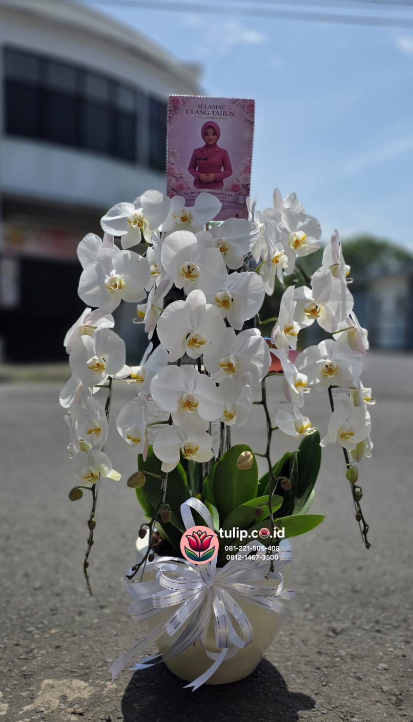 Rangkaian Bunga Anggrek di Tasikmalaya