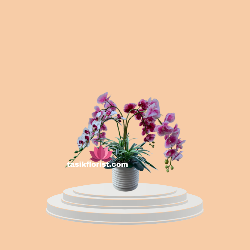 Spring Blossom Orchid