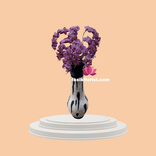 Velvet Majesty Orchid